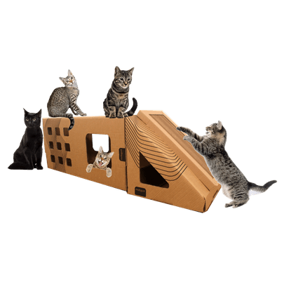 Kit02-01-casa-toca-papelao-gatos-comgatos