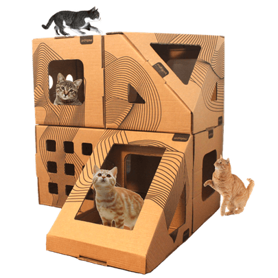 Kit04-07-casa-toca-papelao-com-gatos