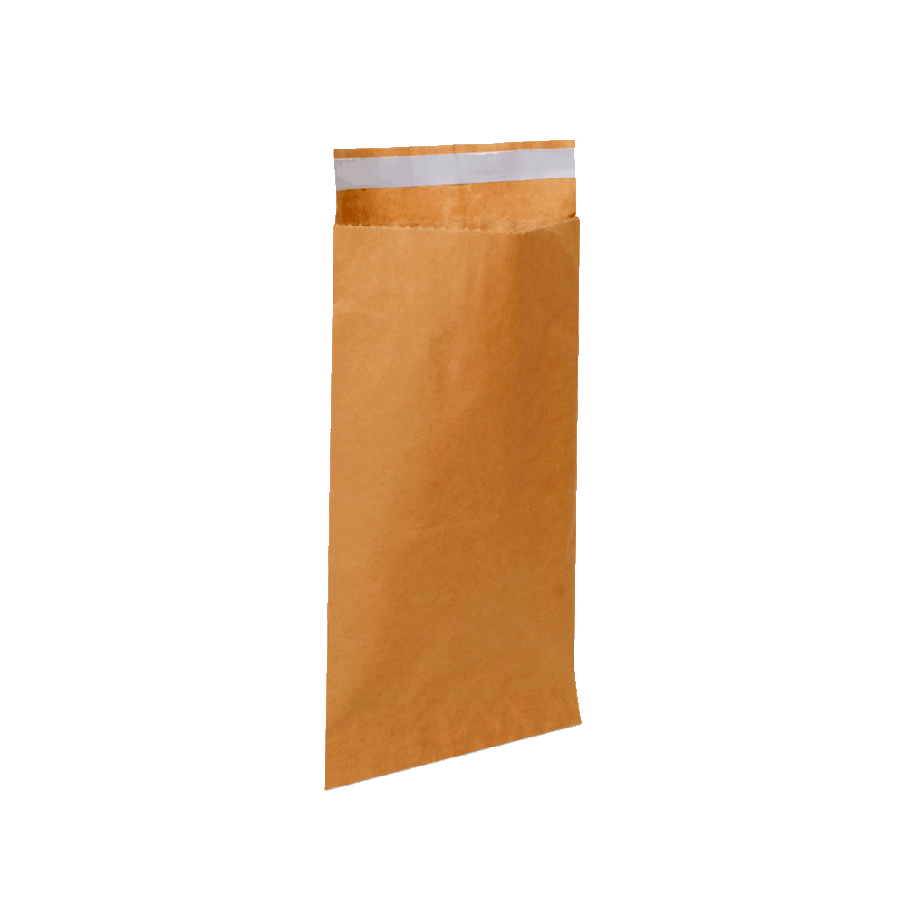 envelope_kraft_saco_seguranca_correio_sedex
