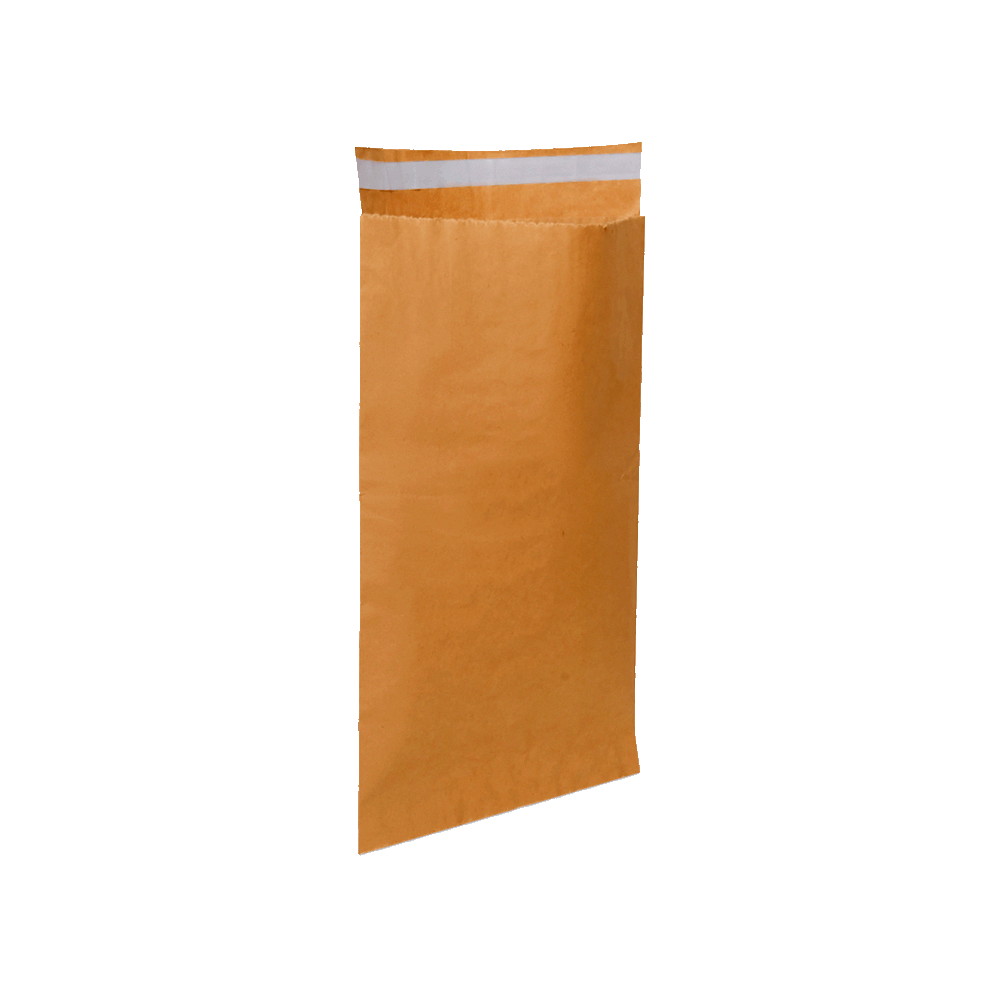 envelope_kraft_saco_seguranca_correio_sedex