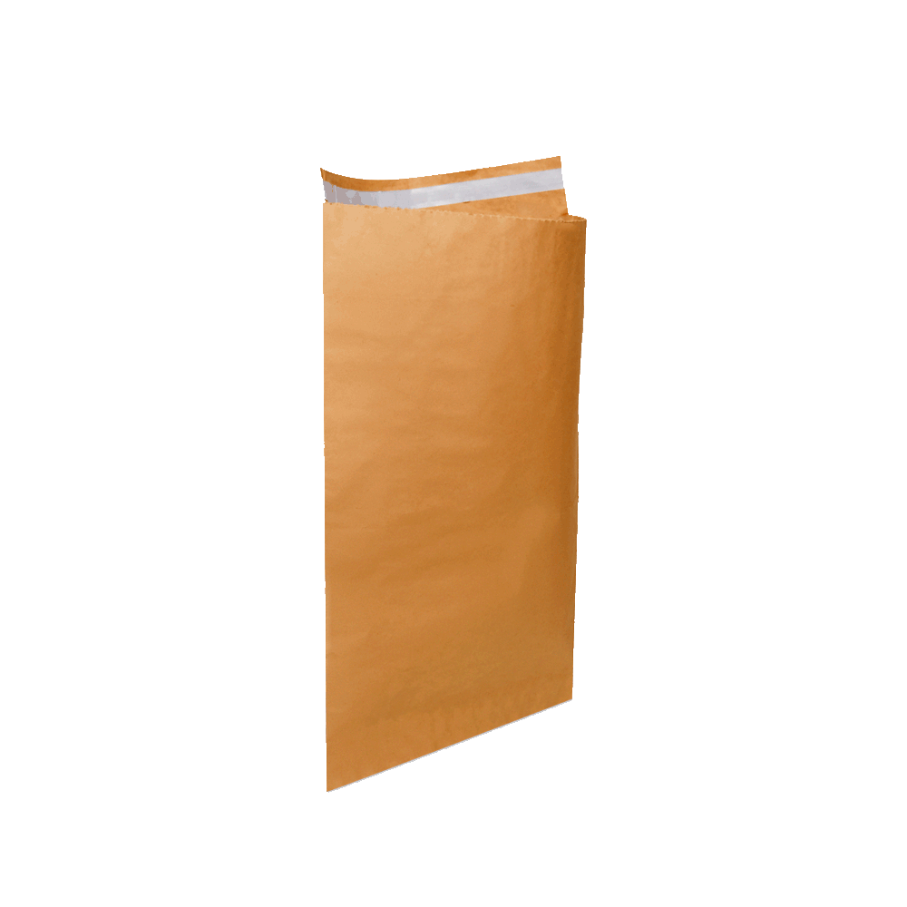 envelope_kraft_saco_seguranca_correio_sedex