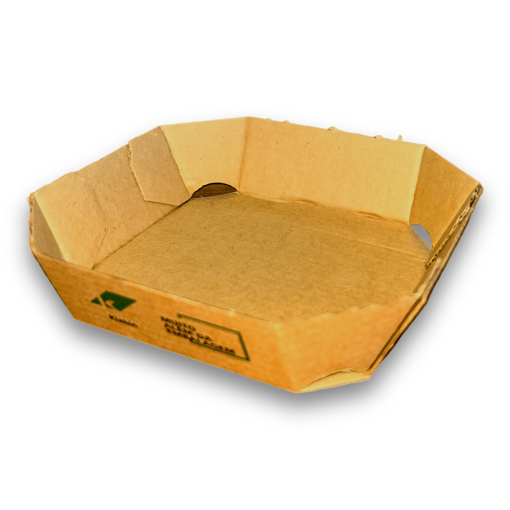 bandeja_frutas_legumes_impressao