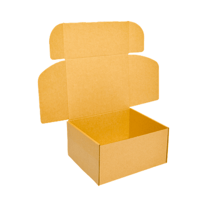 -Embalagem-para-Envio-Correio-Light---25-x-22-x-4-cm